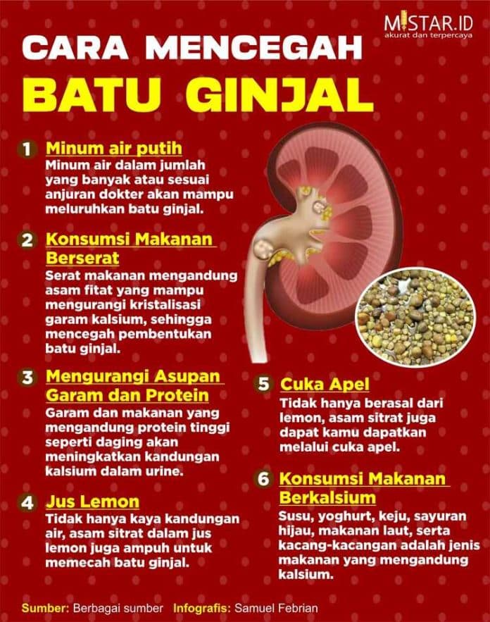 cara_mencegah_batu_ginjal