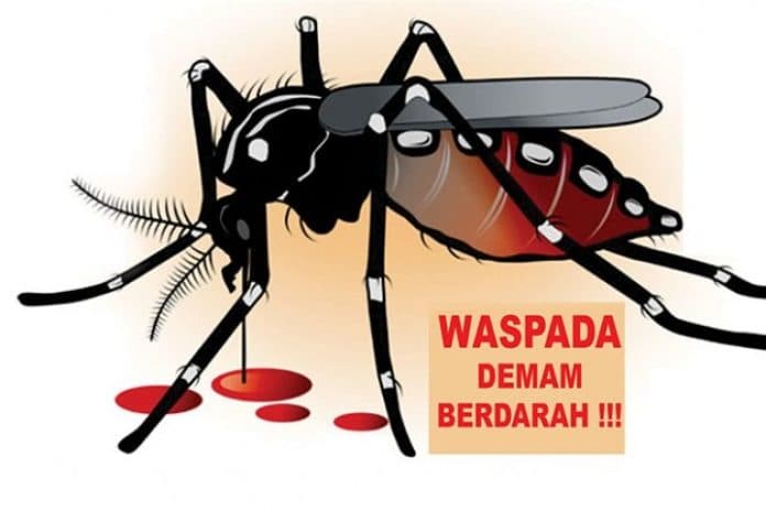 masuki_musim_hujan_waspada_dbd