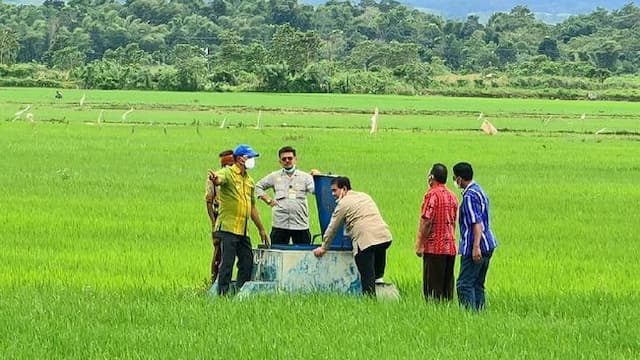 proyek_food_estate_dilanjutkan