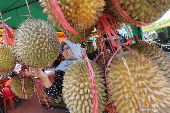 terapi_durian