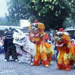 tim_naga_barongsai_vipama_tandam