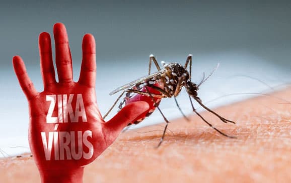 virus_zika_berpotensi_jadi_pandemi