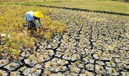 18_wilayah_indonesia_sudah_alami_kemarau