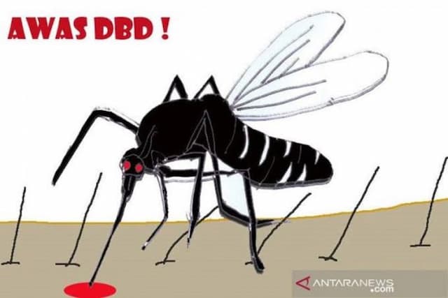 30_orang_meninggal_dunia_kena_dbd_di_sumut
