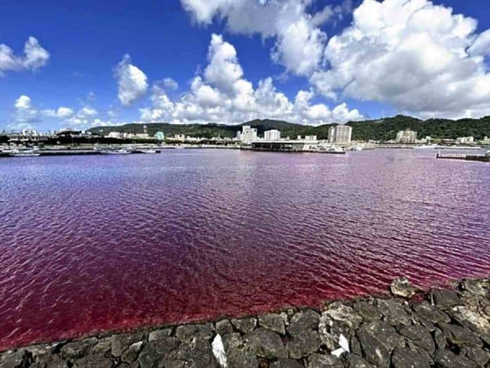 air_laut_di_jepang_jadi_warna_merah