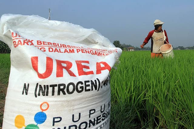 anggaran_pupuk_ditambah_rp_14_triliun