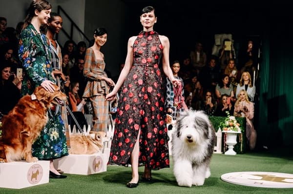 anjingpun_manggung_di_new_york_fashion_week