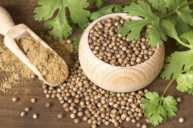 biji_ketumbar_efektif_turunkan_gula_darah