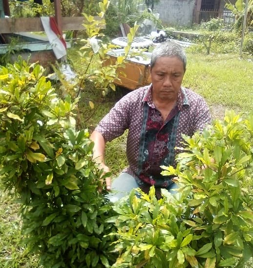 buah_ajaib_bisa_mengobati_asam_lambung