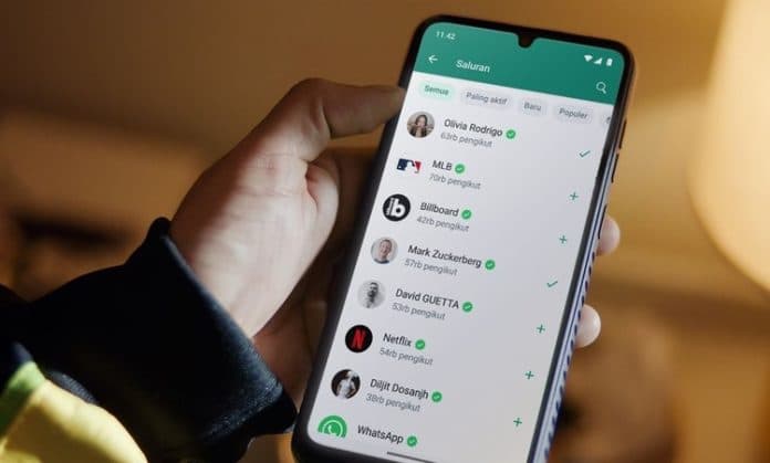 fitur_baru_whatsapp_dinamakan_filter_chat