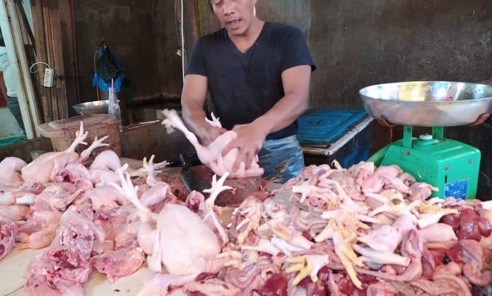 harga_ayam_anjlok_rp18000kg