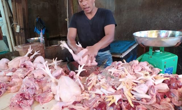 harga_ayam_anjlok_rp18000kg