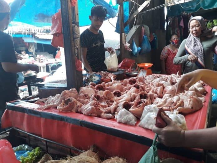 harga_ayam_di_medan_tembus_rp33_ribu_per_kg