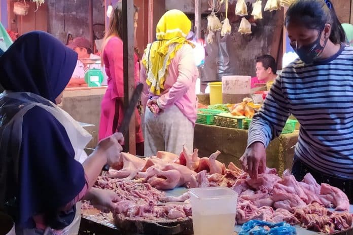 harga_ayam_kembali_normal_rp23_ribu_per_kg