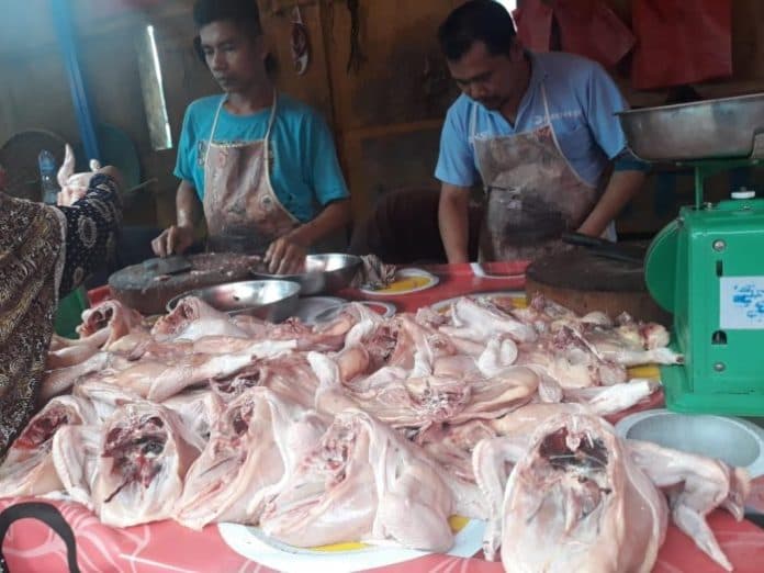 harga_ayam_potong_naik_36_persen_di_sumut