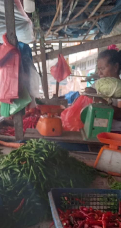 harga_cabai_merah_anjlok_di_tebing_tinggi