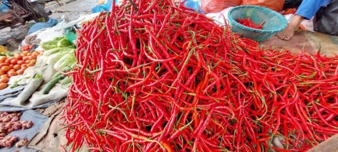 harga_cabai_merah_beranjak_naik_di_medan
