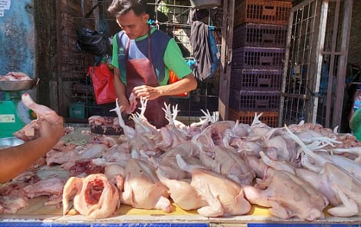 harga_daging_ayam_mulai_naik_lagi_di_medan