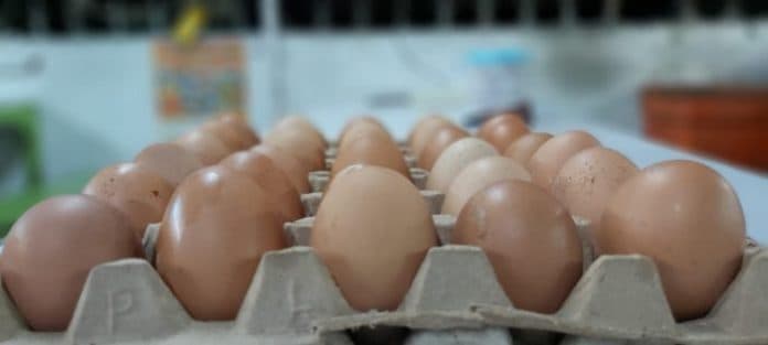 harga_telur_ayam_naik_ini_pemicunya