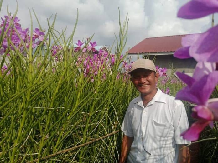 harmoni_anggrek_transformasi_ivan_munthe