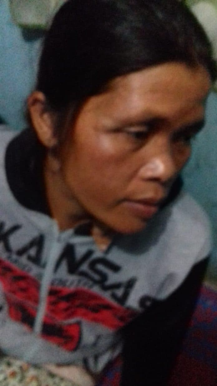 ibu_rumah_tangga_dianiaya_di_siborongborong
