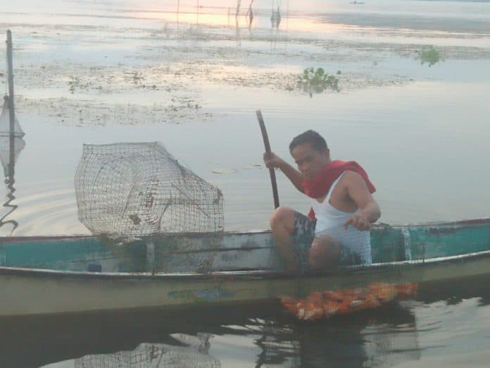 ikan_tayu_tayu_resahkan_nelayan_danau_toba