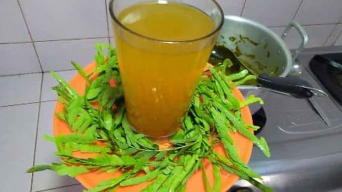 ini_7_rebusan_ramuan_herbal_untuk_diabetes