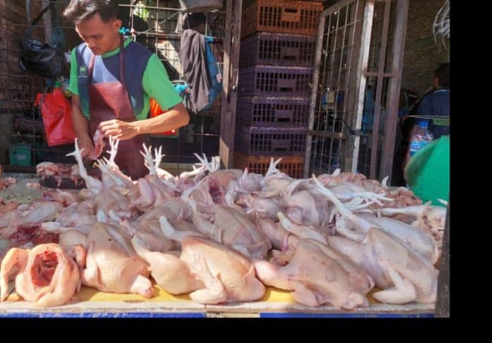 jelang_ramadhan_harga_ayam_di_medan_mahal