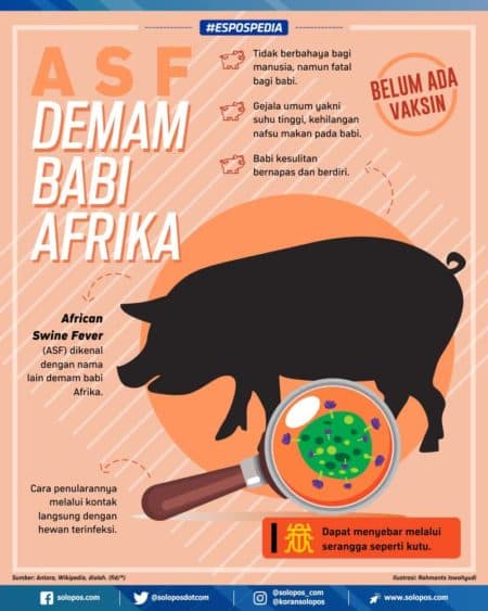 jerman_konfirmasi_dua_lagi_kasus_demam_babi