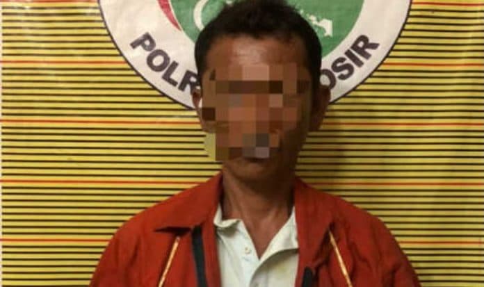 kantongi_ganja_warga_samosir_diciduk_polisi