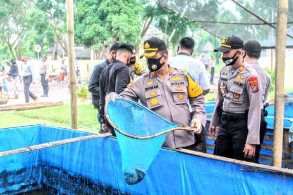 kapolres_batu_bara_akbp_panen_ikan_lele