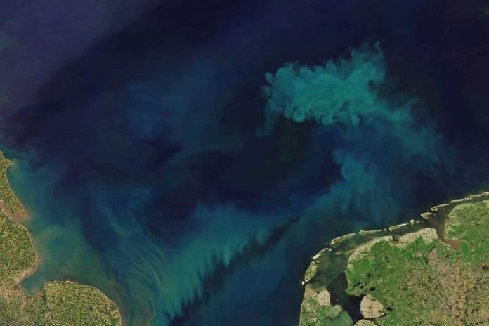 ketika_warna_laut_kini_tak_lagi_biru