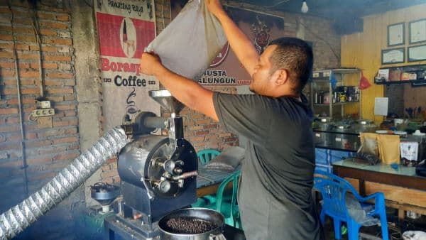 kopi_simalungun_emas_hitam_yang_menggeliat