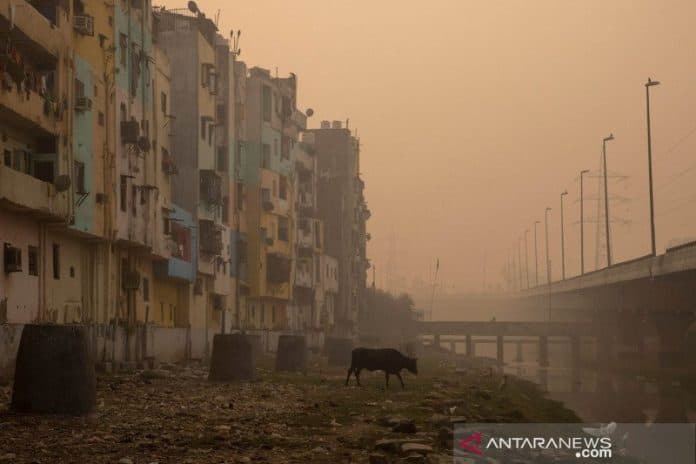level_udara_new_delhi_kategori_berbahaya