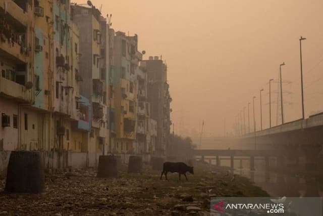 level_udara_new_delhi_kategori_berbahaya