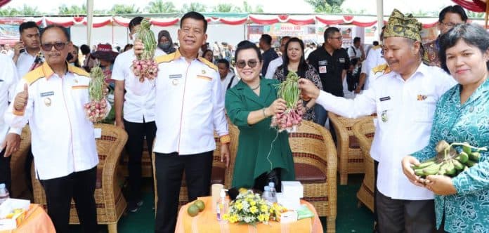 pemkab_simalungun_gelar_promosi_pasar_tani