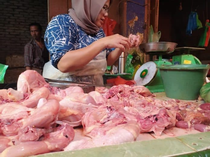 peternak_sebut_harga_daging_ayam_bakal_naik