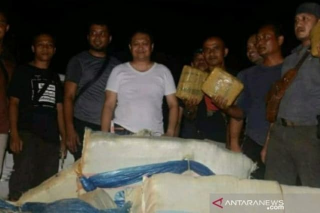 polres_sidempuan_amankan_250_kg_ganja