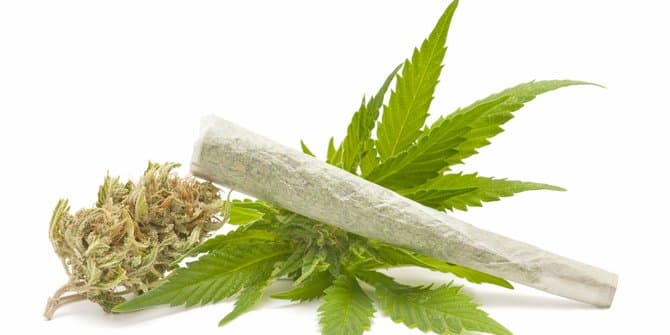 polsek_kuala_hulu_ringkus_pengedar_ganja