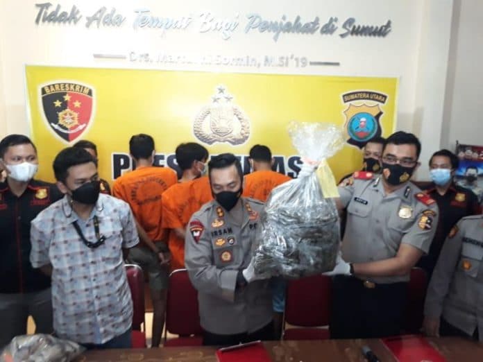 polsek_patumbak_gulung_sindikat_ganja_40_kg
