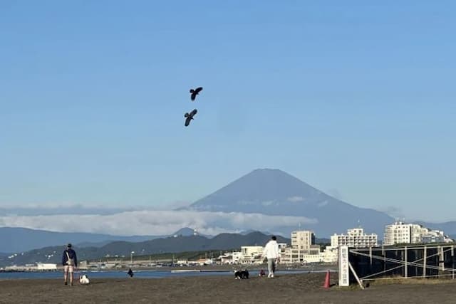 puncak_gunung_fuji_masih_belum_bersalju