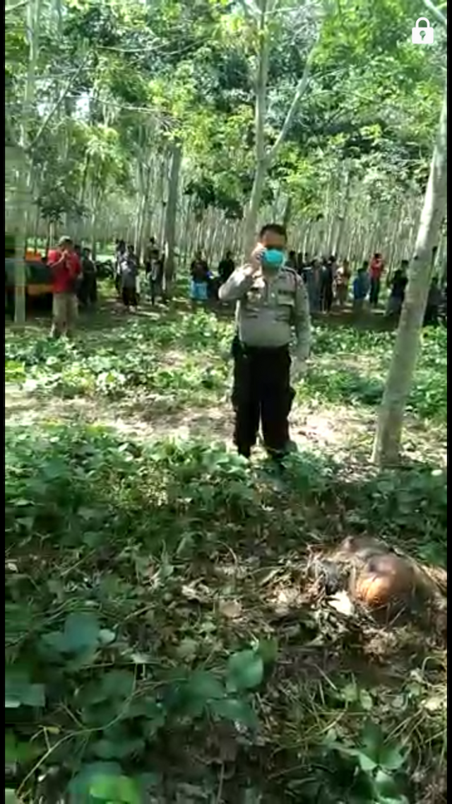 sadis_pelajar_smp_bahjambi_tewas_dibunuh