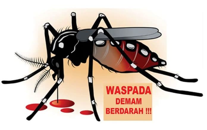 selama_2023_kasus_dbd_menurun_di_sumut