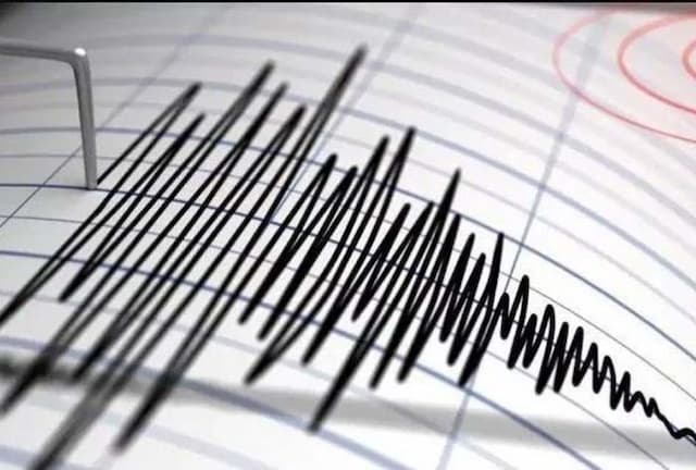 selandia_baru_diguncang_gempa_magnitudo_60