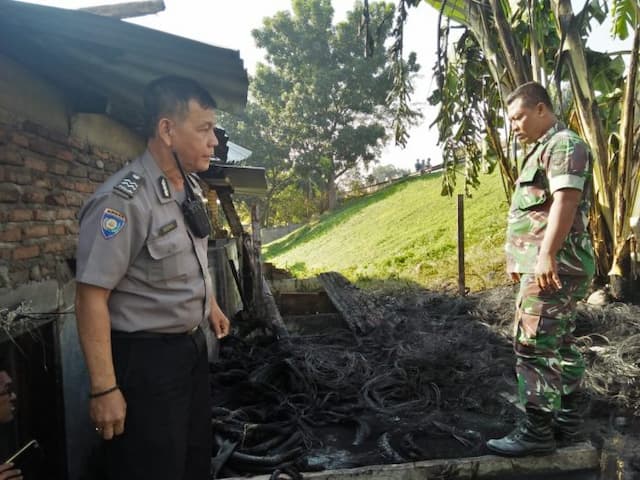 si_jago_merah_nyaris_lahap_rumah_warga