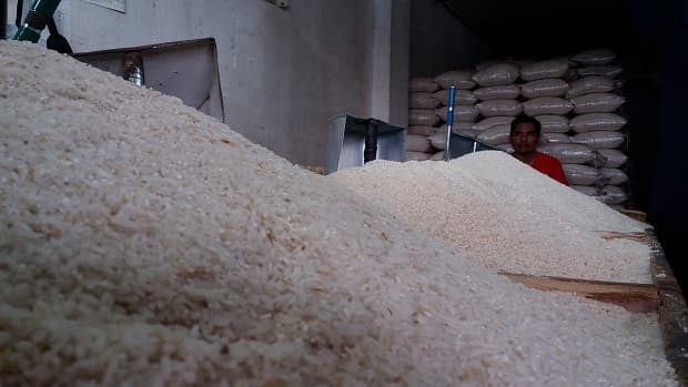 stok_beras_nasional_aman_sampai_2020