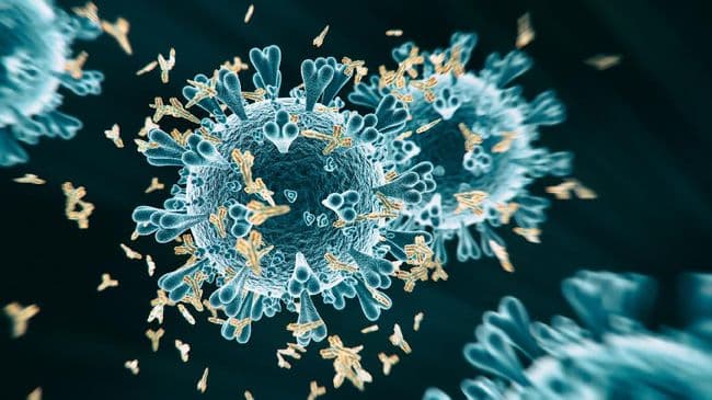 sudah_ada_korbannya_apa_itu_virus_oz