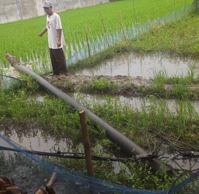 tiang_listrik_tumbang_warga_beringin_resah
