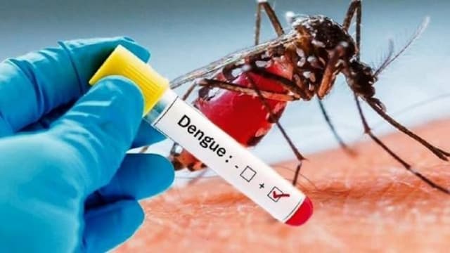 vaksinasi_bisa_kurangi_resiko_dengue_parah