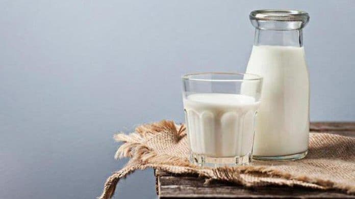 waktu_terbaik_minum_susu_saat_diet